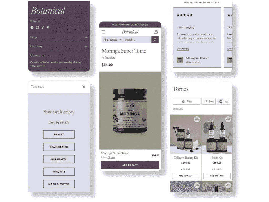shopify store optimzed speed